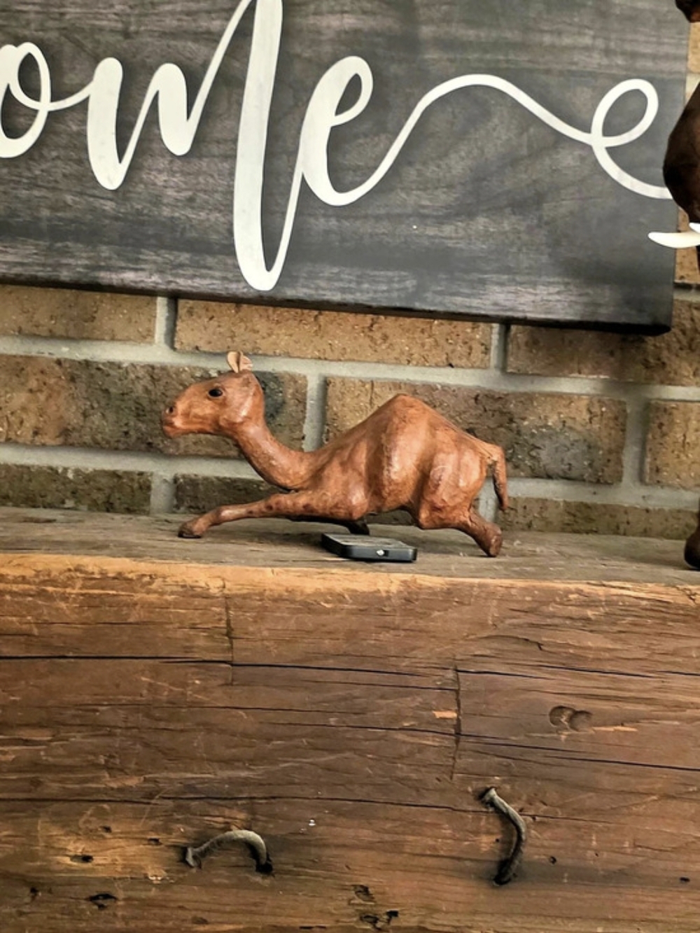 Tanned Leather Brown Camel Decor
